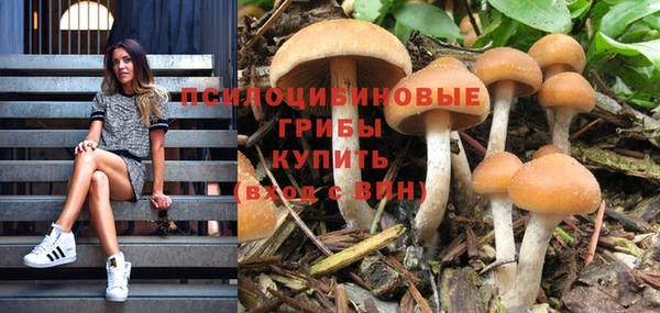PSILOCYBIN Михайловка