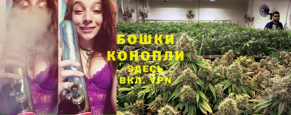 PSILOCYBIN Михайловка