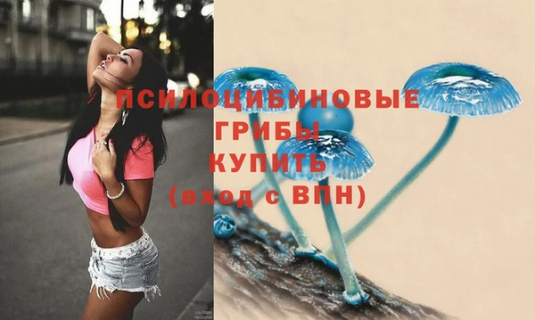 PSILOCYBIN Михайловка