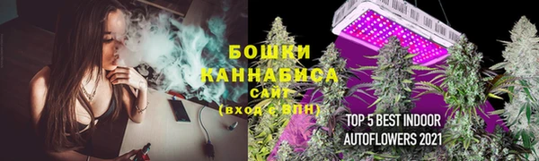 PSILOCYBIN Михайловка