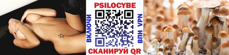 Псилоцибиновые грибы ЛСД  закладка  Александровское 